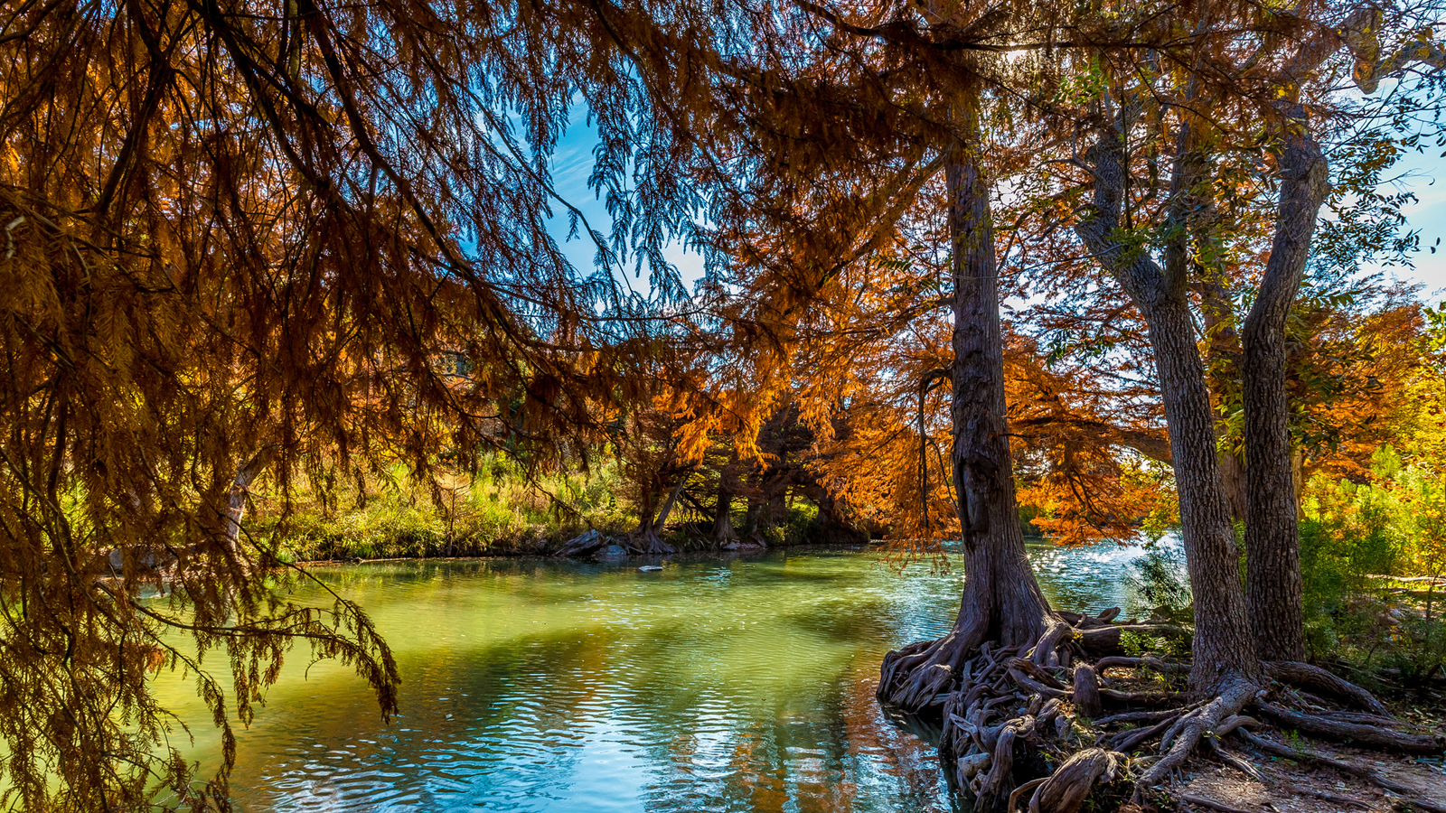 Beautiful State Parks - Guadalupe River State Park